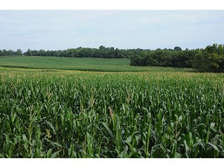 Property photo 9 - LAND AUCTION - 524+/- ACRES OFFERED IN 16 TRACTS IN MEIGS COUNTY, OHIO